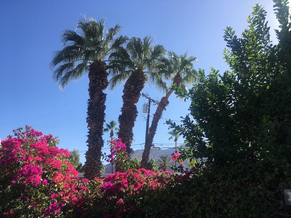 Inn at Palm Springs Exteriör bild